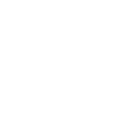 Icon for endodontic emergency care